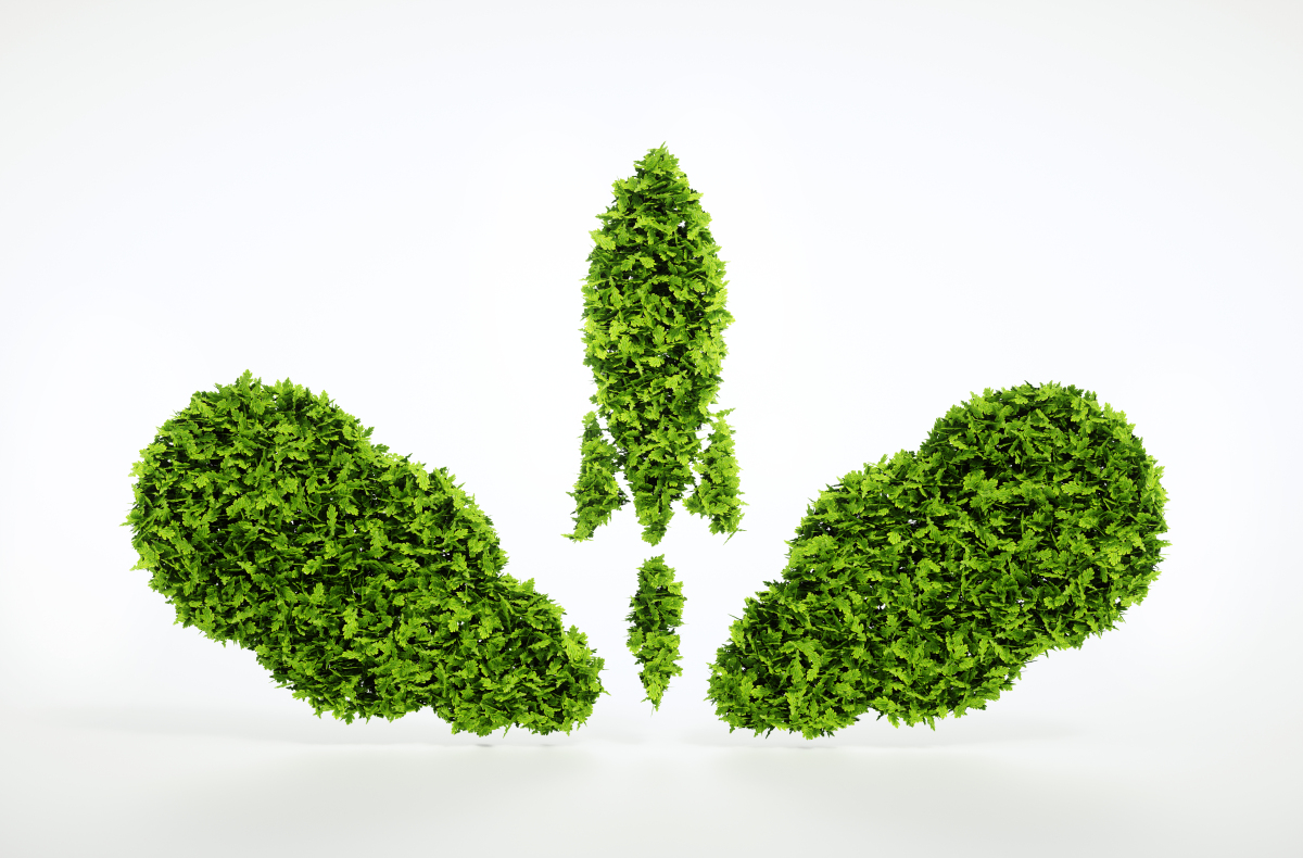 公司注册网上核名规则